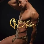 Escort Rogue Hayes | ID 48595 | Photo №3